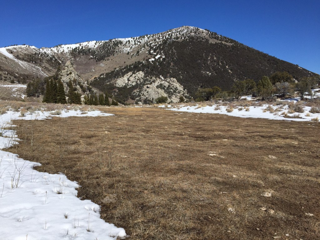 The west face from a point just south of Indian Grove.