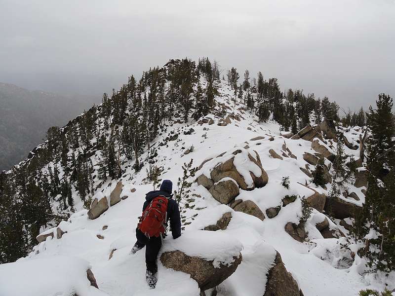 Sean Duffy nearing the summit. Dave Pahlas Photo