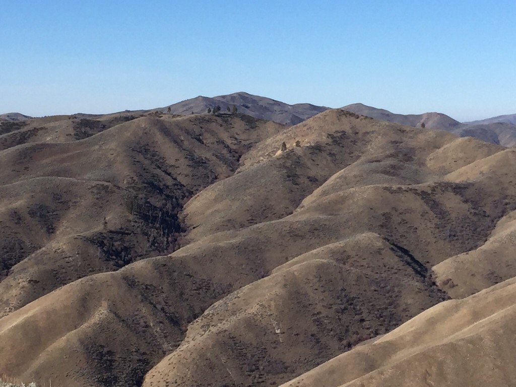 Kepros Peak from Peak 5180. The Danskins cover a large swath of Idaho but are little known to most. As this view demonstrates the range has a lot,ridges to wander across. 