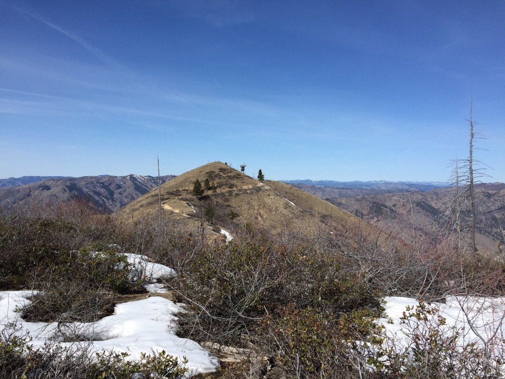 The summit from the east.