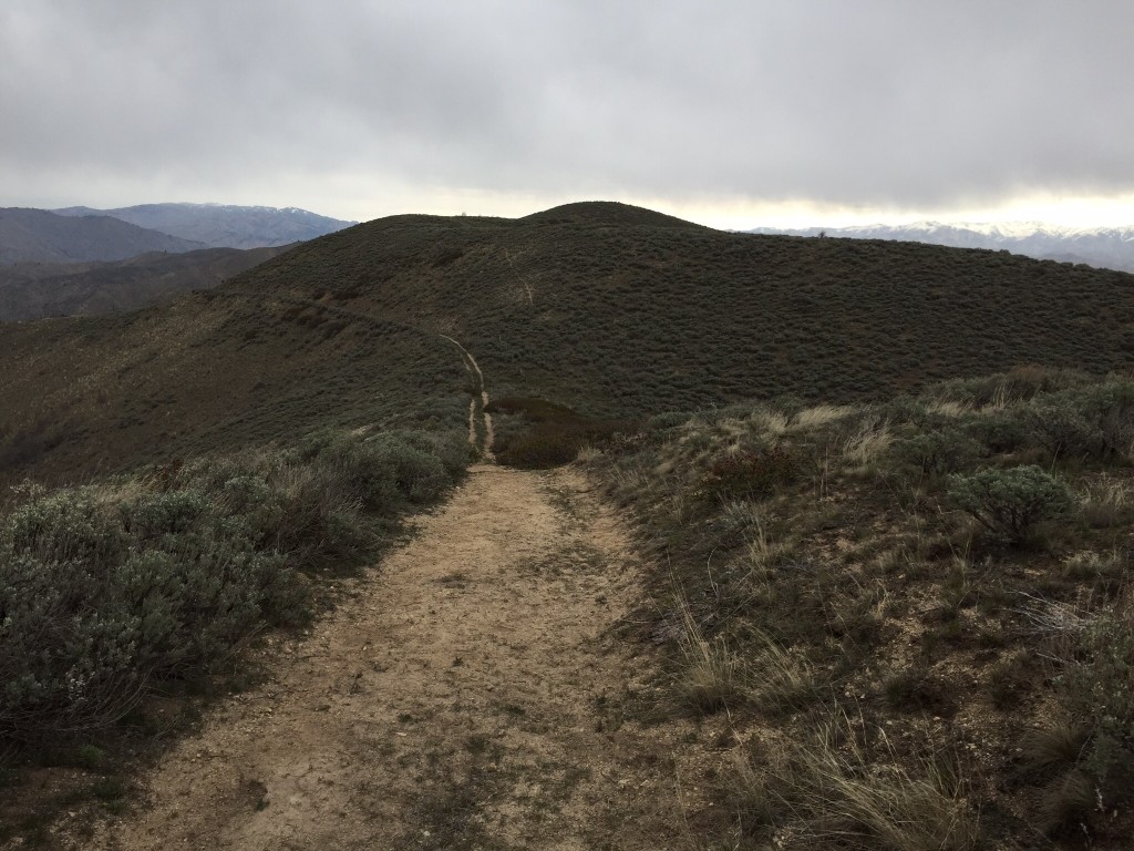 Peak 5090 viewed from the south. The old road that follows the ridge line to this peak and Peak 5100 is closed to motor vehicles.