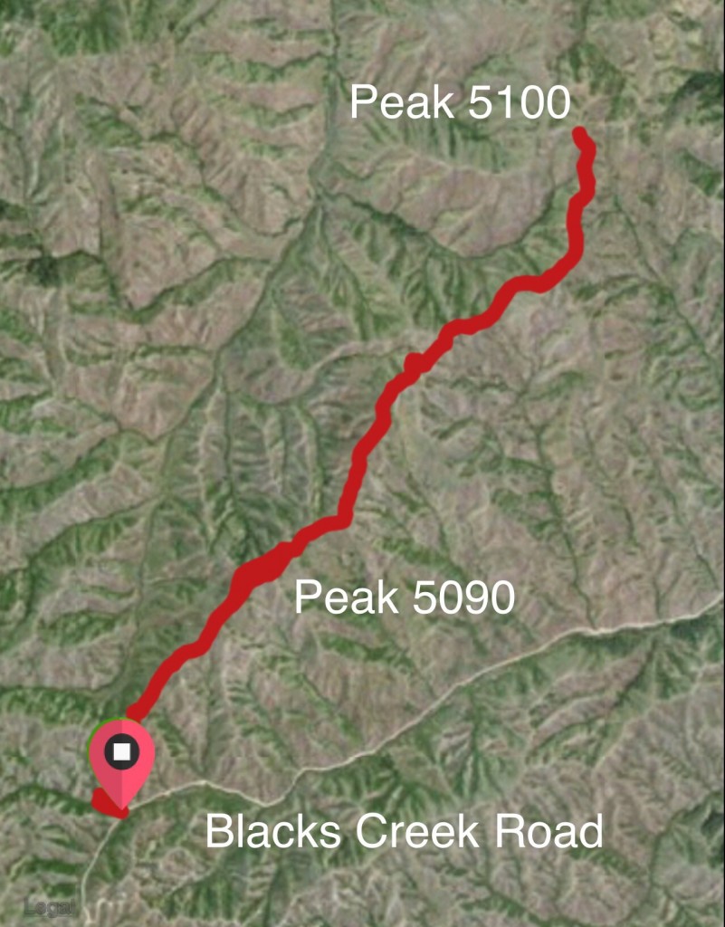 Peak 5096 and Peak 5100. My GPS track from 2015.