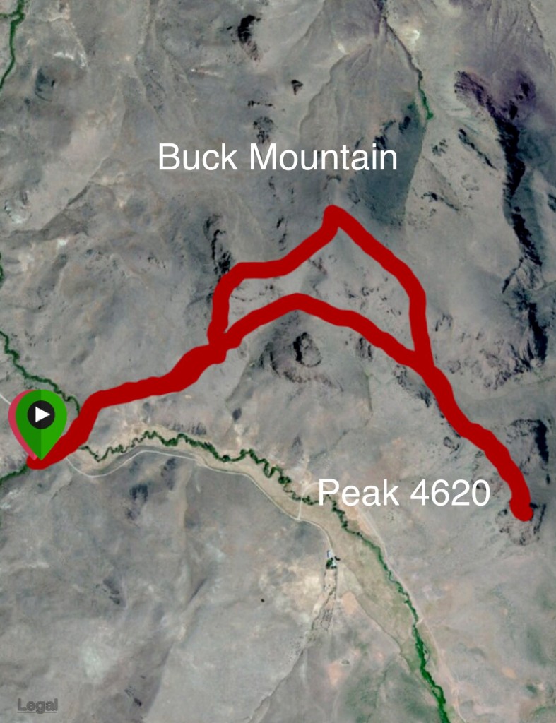 My GPS a track for Buck Mountain and Peak 4620.