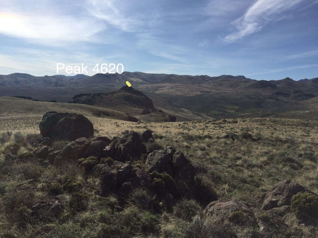 Peak 4620 viewed from the summit of Buck Mountain with higher Owyhee Mountain terrain rising behind it.