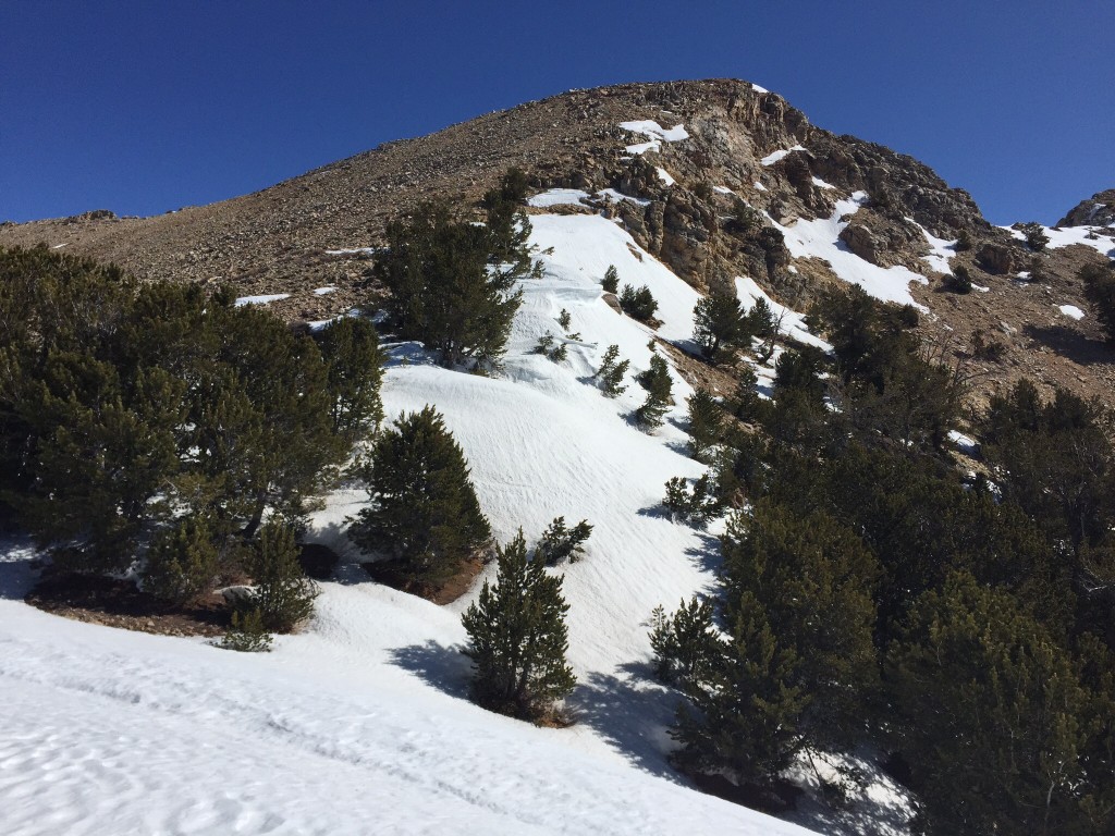 Looking up to the summit.
