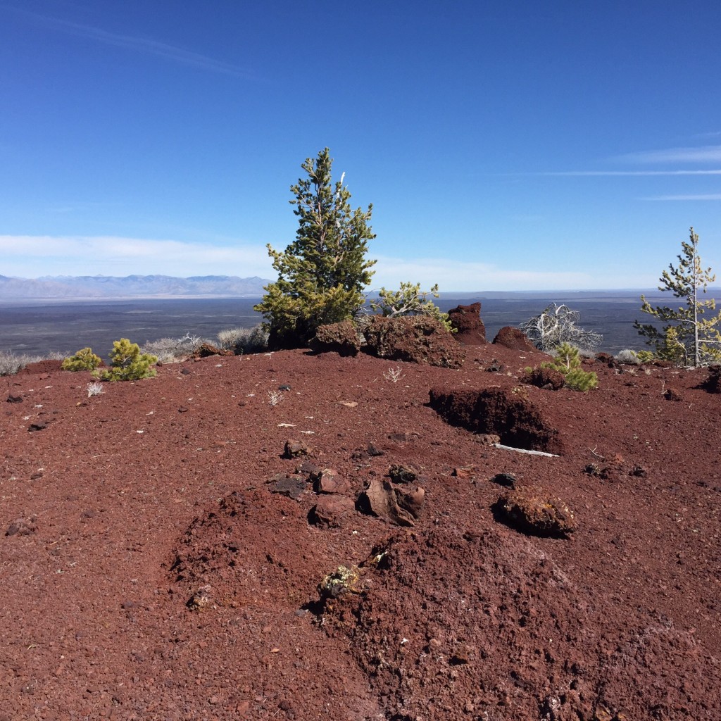 The summit of Big Cinder Butte.