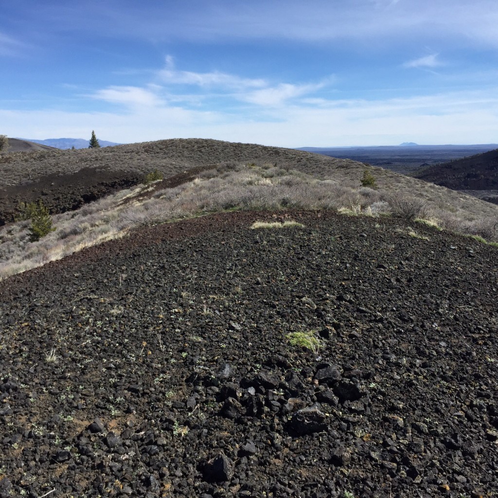 The summit of Grassy Cone.