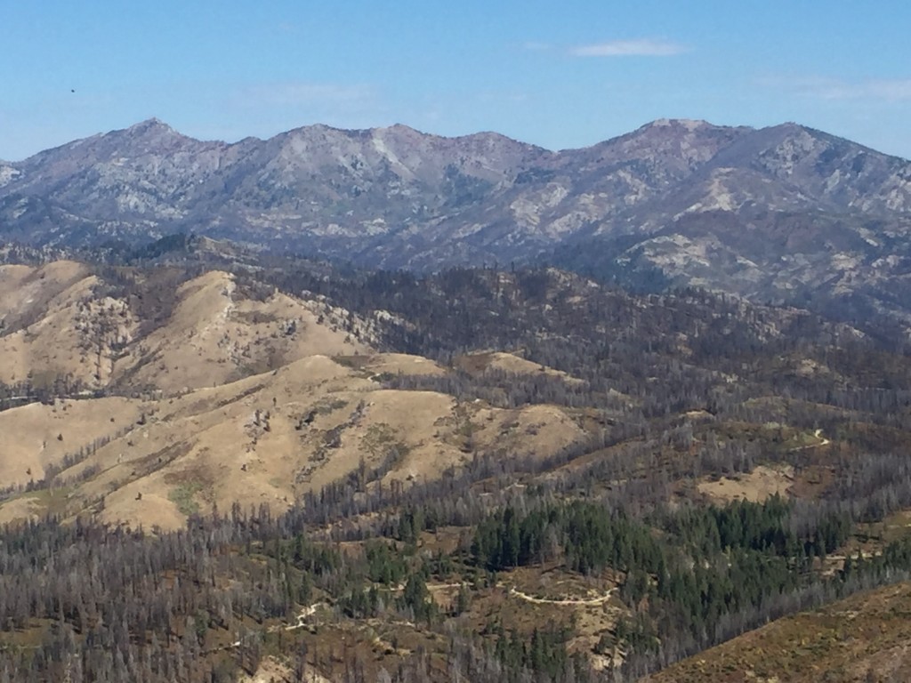 The Trinity Mountains to the north.