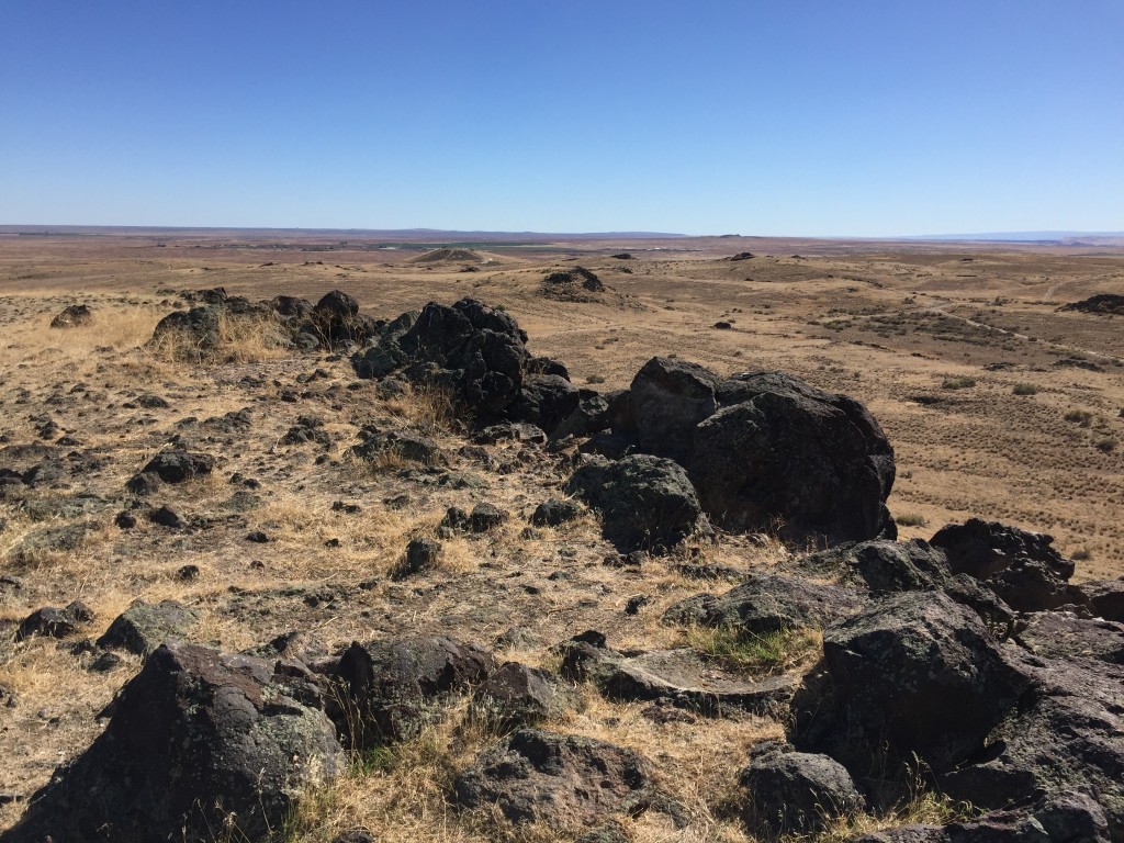 Kuna Butte covers a lot of area and the summit has many high points. With a bit of management it could be an outstanding natural area.
