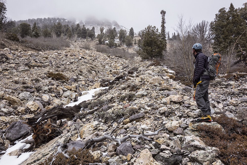 Climbing out of Sawmill Gulch.