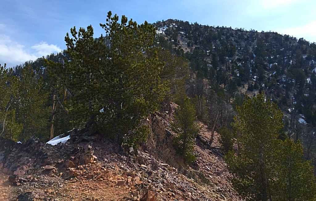 The most rugged part of the peak's west ridge is where it joins the summit block.