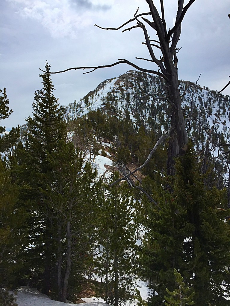 Peak 10122's northwest face.