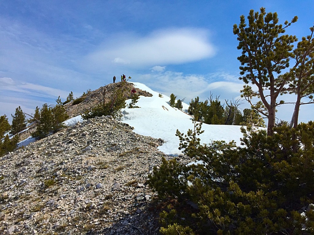 The summit from the south.