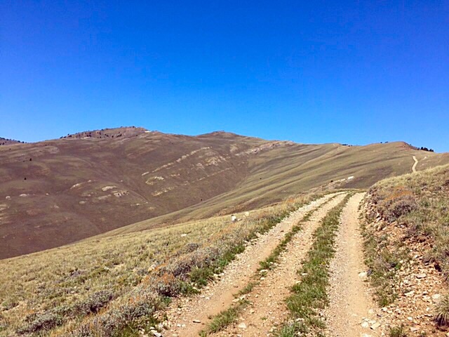 Looking from the saddle toward Jumpoff Peak. The road climbs up to the ridge on the left and then follows the ridge around the drainage to the eastern summit.