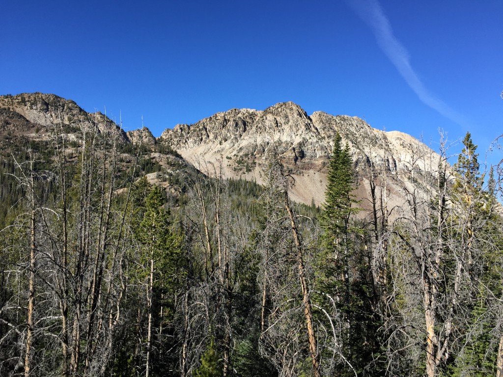 This view from the upper part of Six Lakes Basin was taken near the spot where we left the road to head toward the peak. The bottom of the basin was easily crossed and there was little downfall above 9,000 feet. Head directly toward the ridge in the foreground which cuts down from left to right. From the top of the foreground ridge drop down to your left to the base of the Southeast Face.