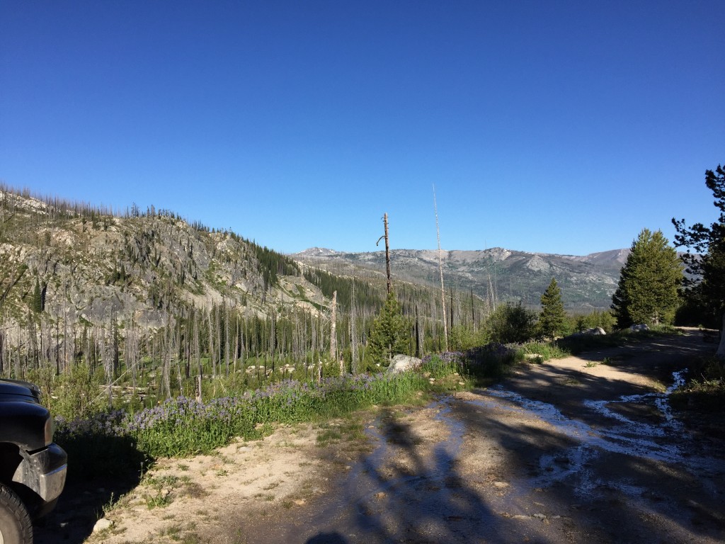 Our traverse started and ended at the Deep Lake trailhead which is reached by a dirt road from the Warren Wagon Road.