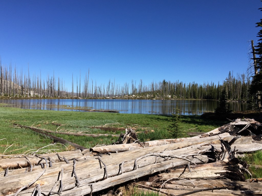 Trail Lake Diamond Ridge.