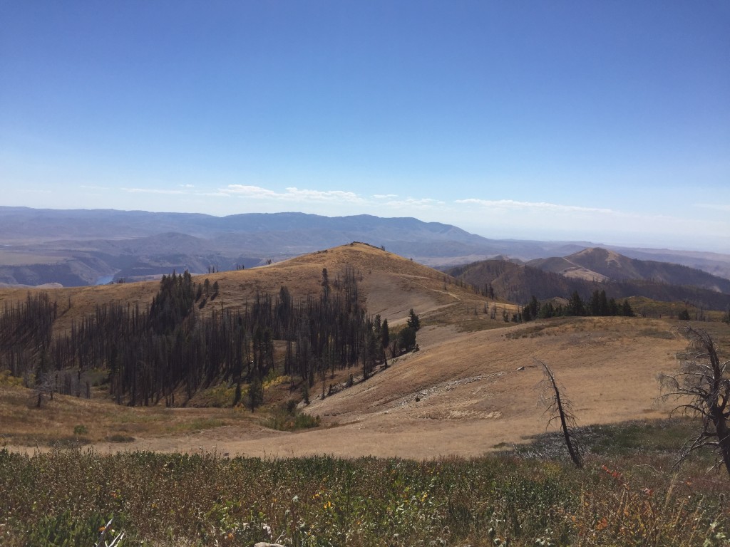 Looking south from the summit toward Mount Bennett.