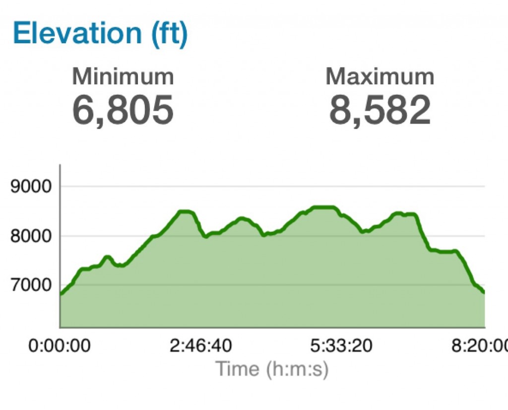 The GPS elevation track.