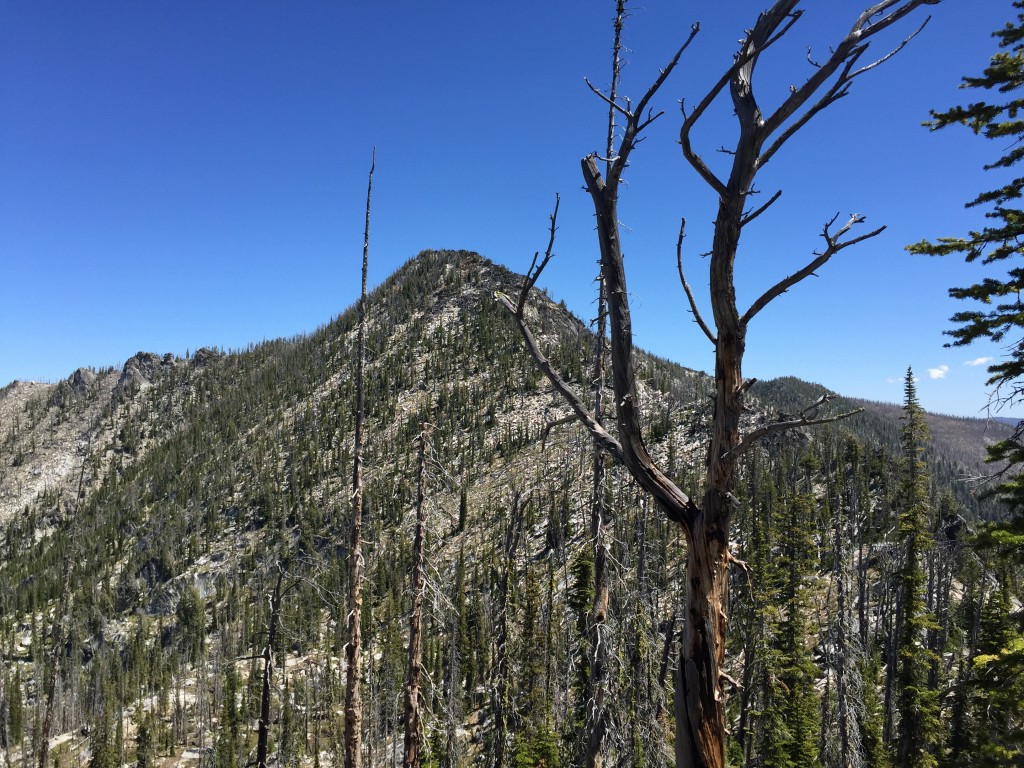 Diamond Ridge Peak