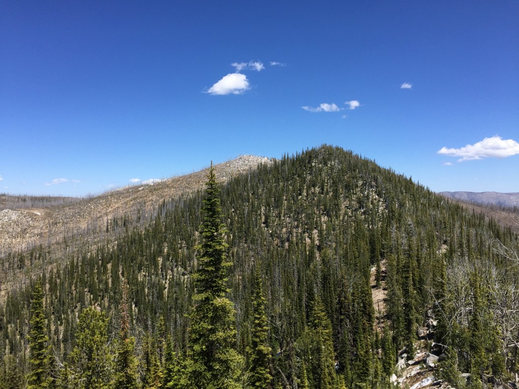 Diamond Rock viewed from Diamond Ridge Peak. The highest point is the treeless point behind the treed point.