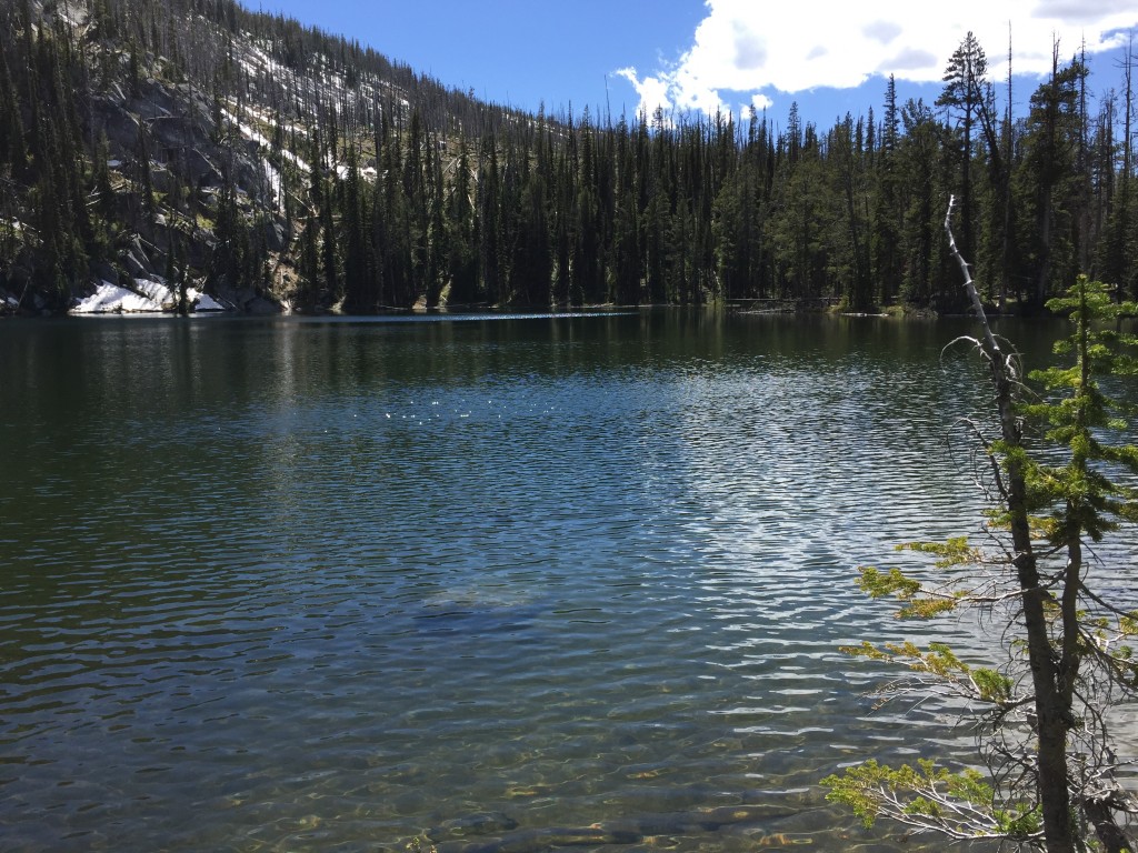 Summit Lake Diamond Ridge 