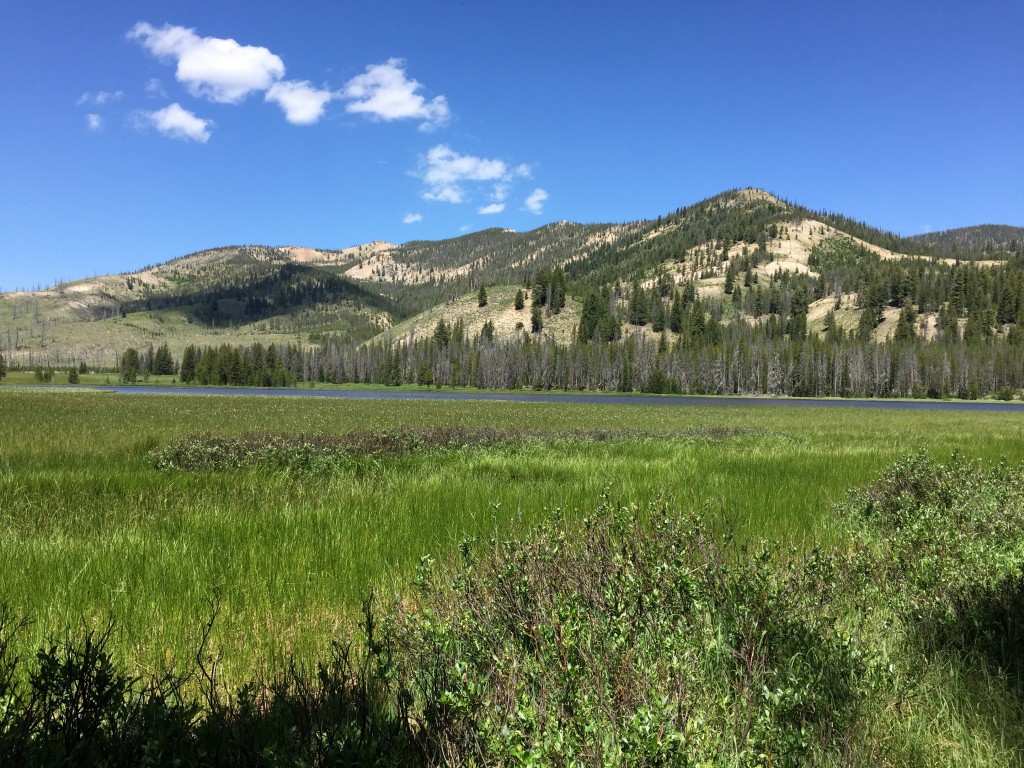 You can access both the east and southeast ridges from the well graded Bull Trout Lake Road. Both ridges are guarded by a large shallow lake which is gradually turning to Meadow. So pick your route to avoid the wet ground. This show shows the peak from the eastern side of the the lake. We traversed around the lake on its north side. If you start from the vicinity of Bull Trout Lake you will pass this lake on its west side.