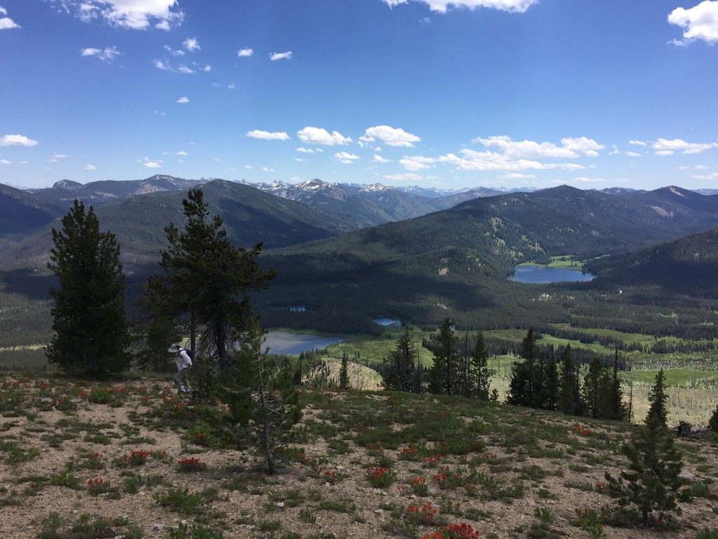 Looking down the east ridge from roughly 7,800 feet. Bull Trout Lake is on the right and the lake turning into a meadow is in the center.