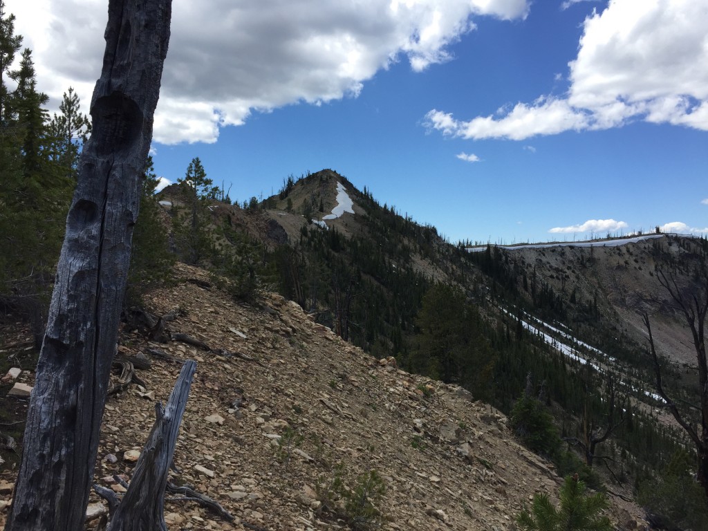 The summit will come into view after you cross a point designated as Mains Ridge. It's roughly 0.5 miles away at this point.