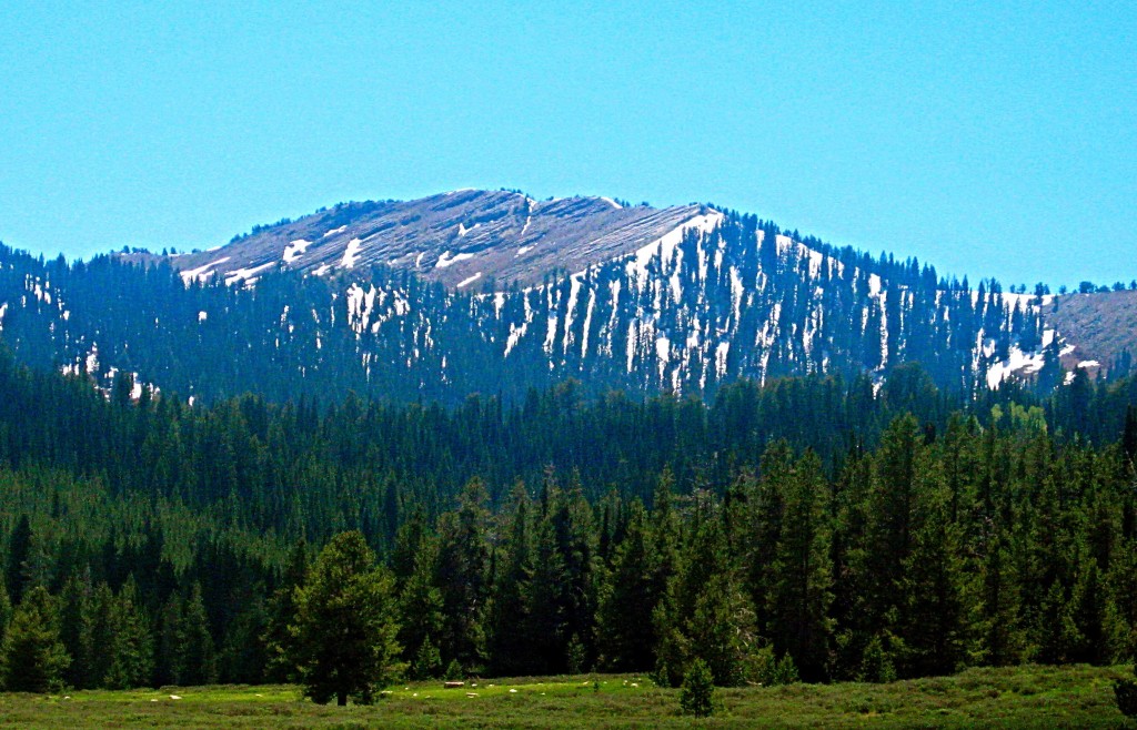 View looking south west from Franklin Basin (east of Franklin Idaho). There used to be a scout camp in the bowl below the bare rock on the ridge. I went there with my scout troop twice circa 1967-8. Russ Durrant Photo