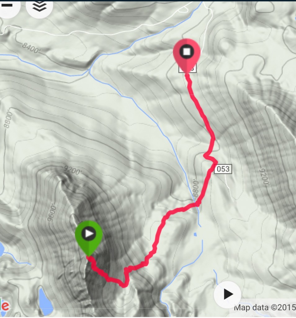 This was our route on the descent. We ran into a bit of downfall on this line which crossed an old burn. It was more direct.