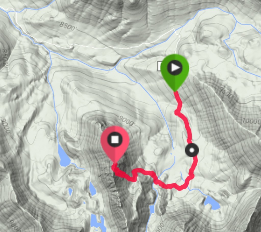 The route we followed on the ascent left the road at roughly 9,000 feet. Note that you can drive to near the end of the road with a 4WD and start a bit higher than we did.