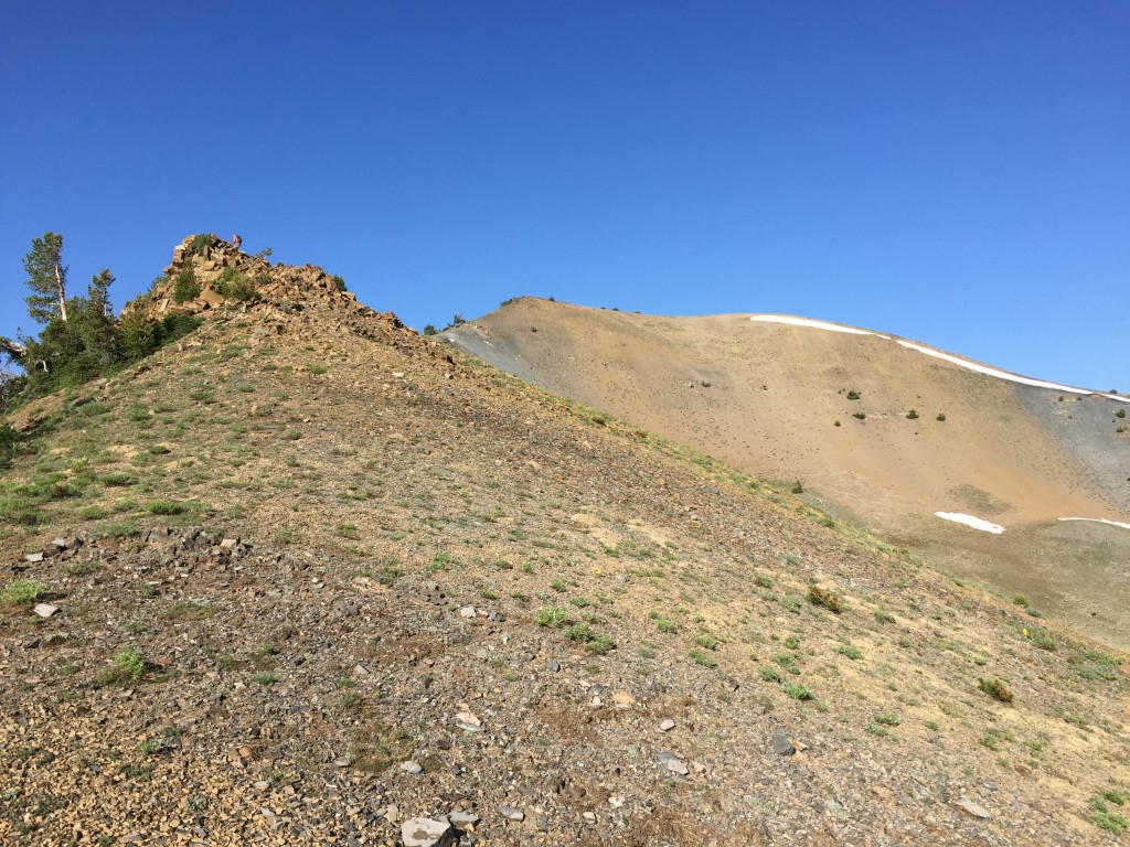 The lower section of the east ridge are forested but once you break out of the trees, you will have clear going.