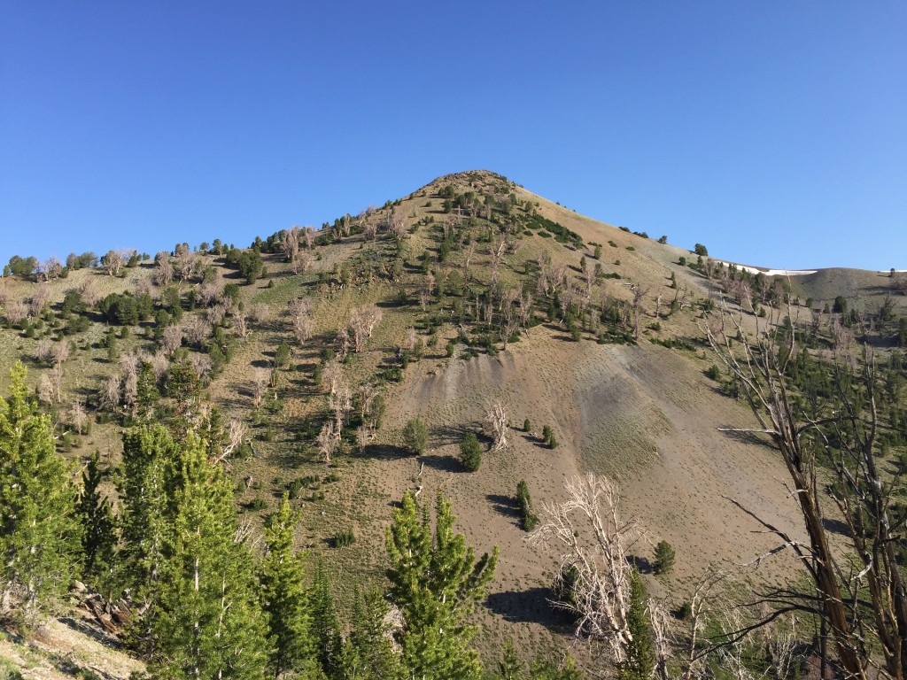 Peak 10356 viewed from the northeast ridge of Peak 10340.