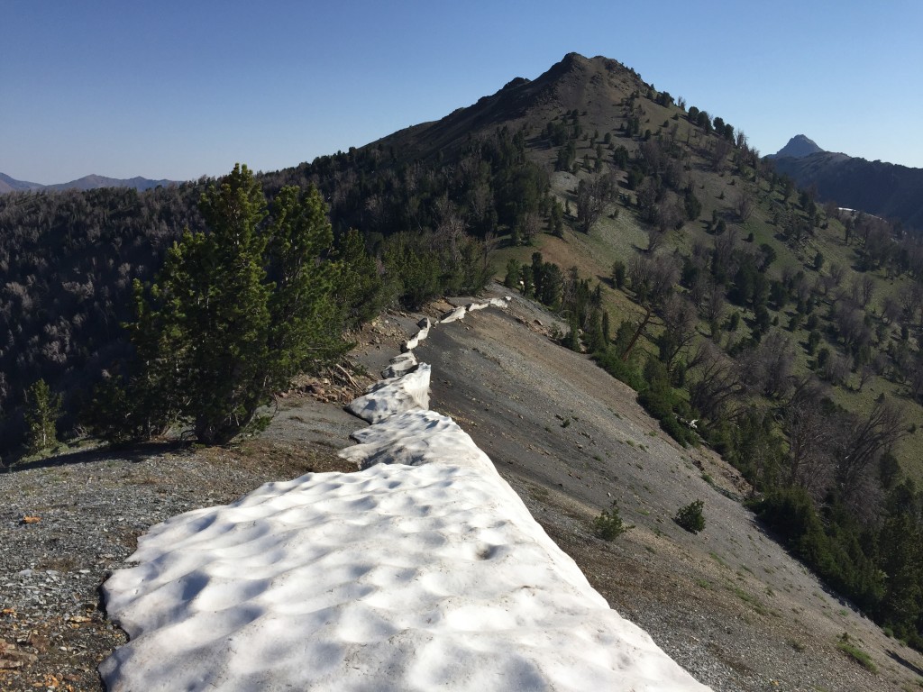 Looking across the saddle between Peak 10340 and Peak 10356. Peak 10356's south ridge rises up,the middle of the photo.