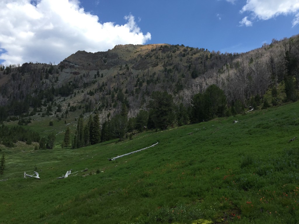 Peak 10350 viewed from the south.