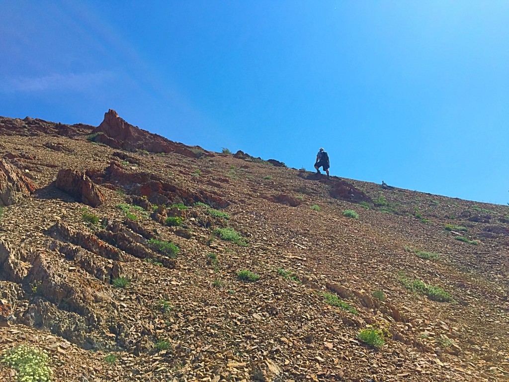 The upper section of the south face. This photo shows the consistency of the slope.