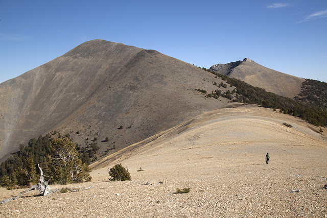 Ben Prescott traversing the ridge from Buckhorn Peak to White Bird Peak. Larry Prescott Photo 