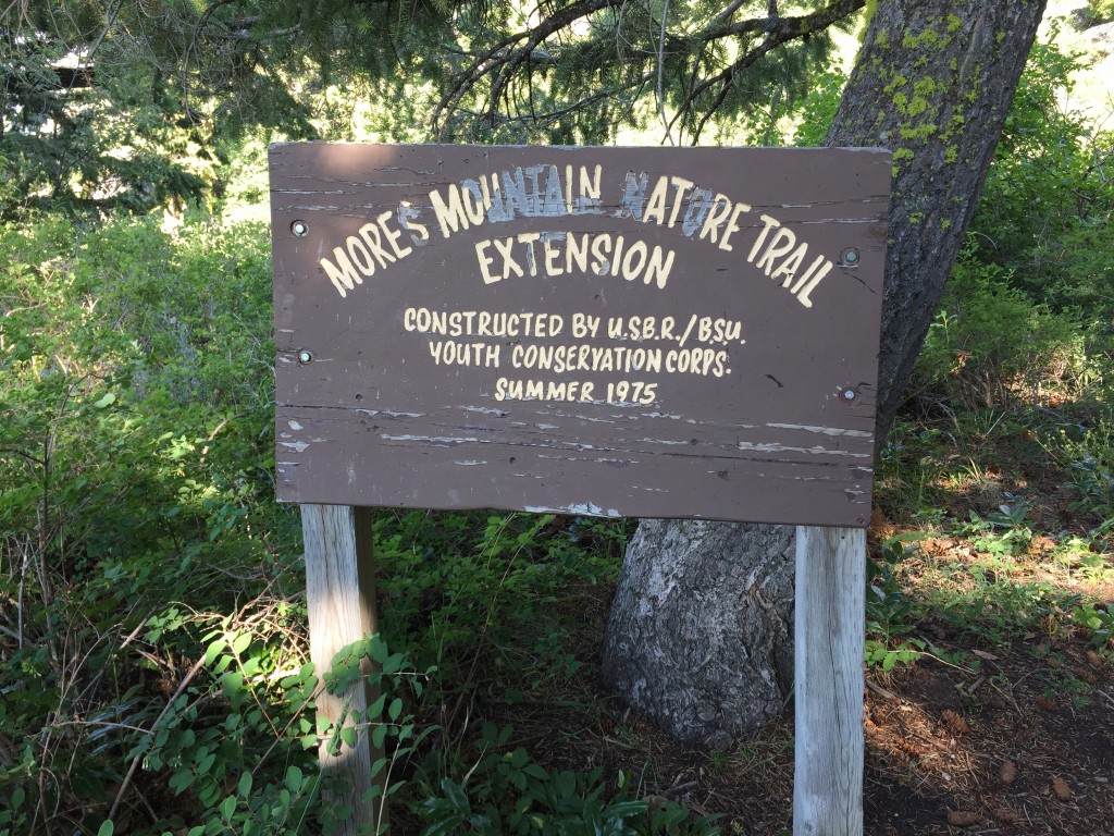 When you reach a junction by this sign, the nature trail runs off to your right and the Mores Mountain Round the Mountain trail goes off to your left.