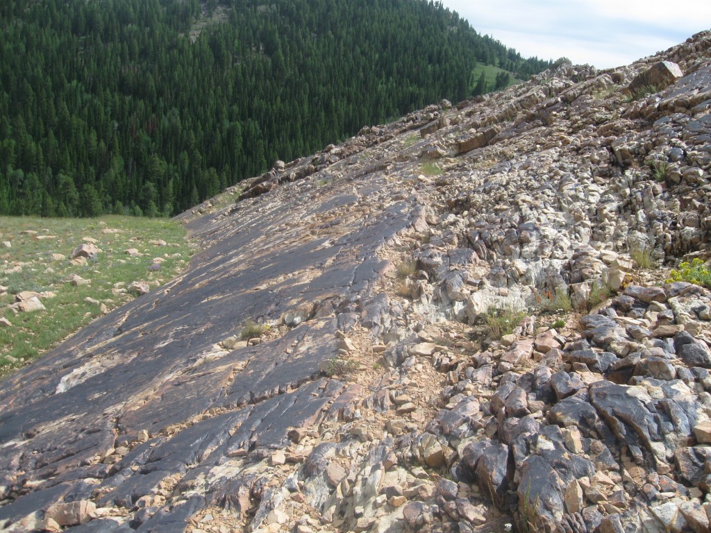 Rock band near the bottom of the summit block, taken on the way down. Looking south west into Flat Canyon. Russ Durrant Photo 