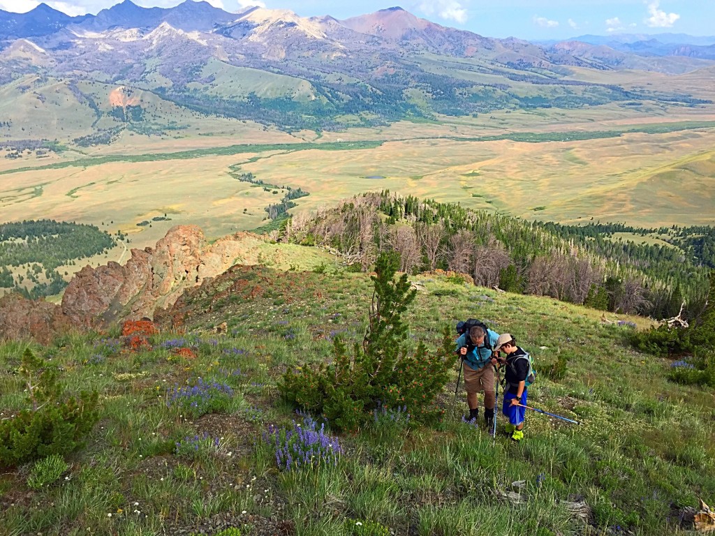 Looking down the west ridge. Larry and Ben Prescott are admiring the some of the many wildflowers blanketing the ridge.