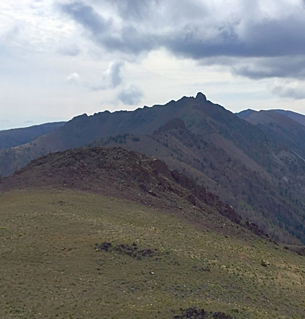 Another view that f Copper Basin Knob from the summit of Roundup Peak.