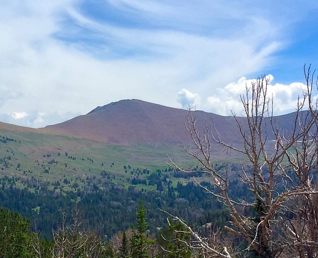 The Ramp viewed from a point near Long Lake in the Lake Creek drainage. 