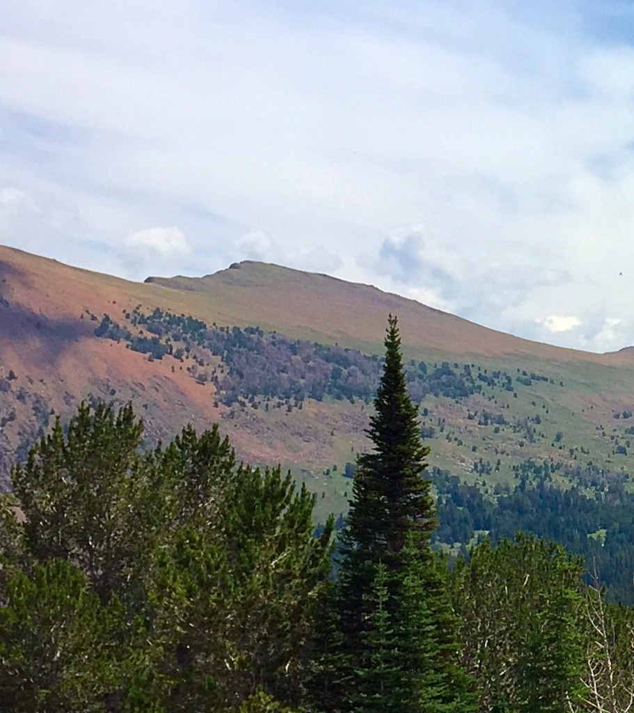 Double U Peak viewed from a point near Long Lake in the Lake Creek drainage.