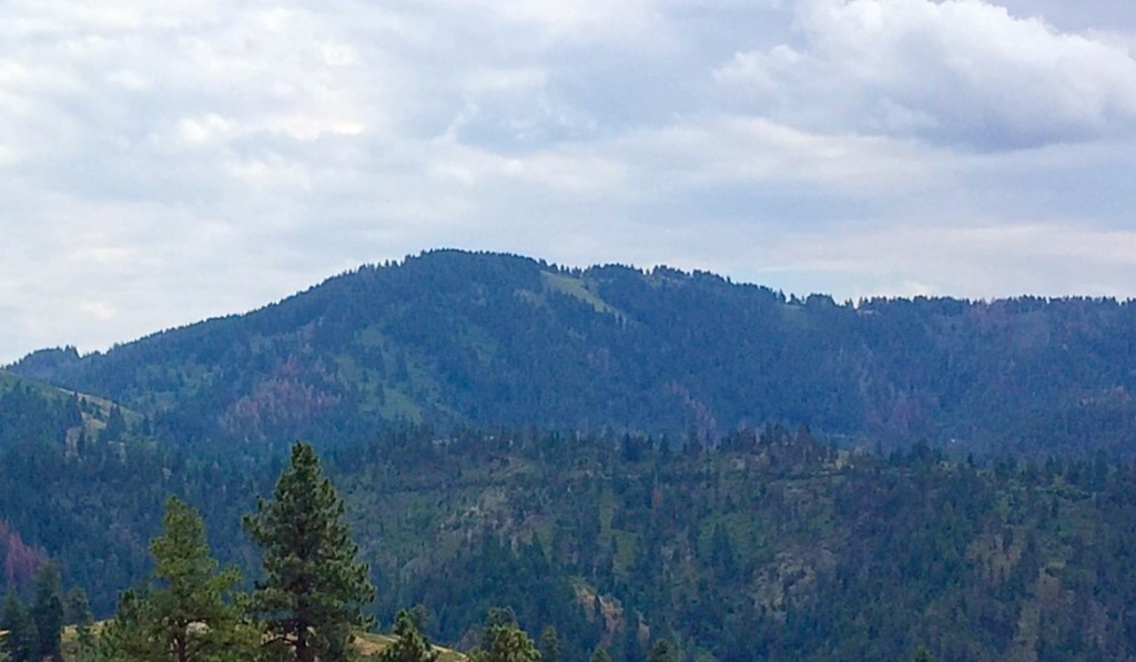 Boise Peak from near Doe Point to the west.