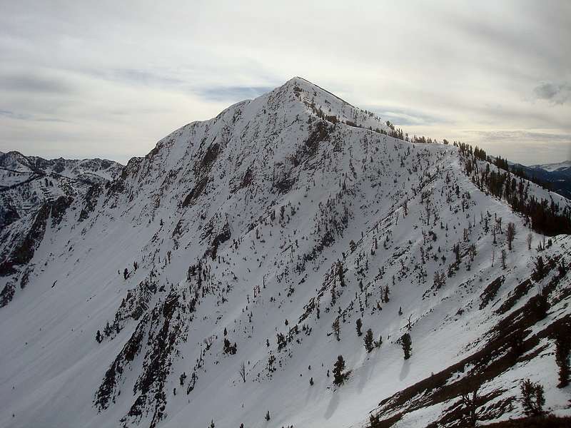 The northeast face of Pole Creek Peak #3.. Dave Pahlas Photo 