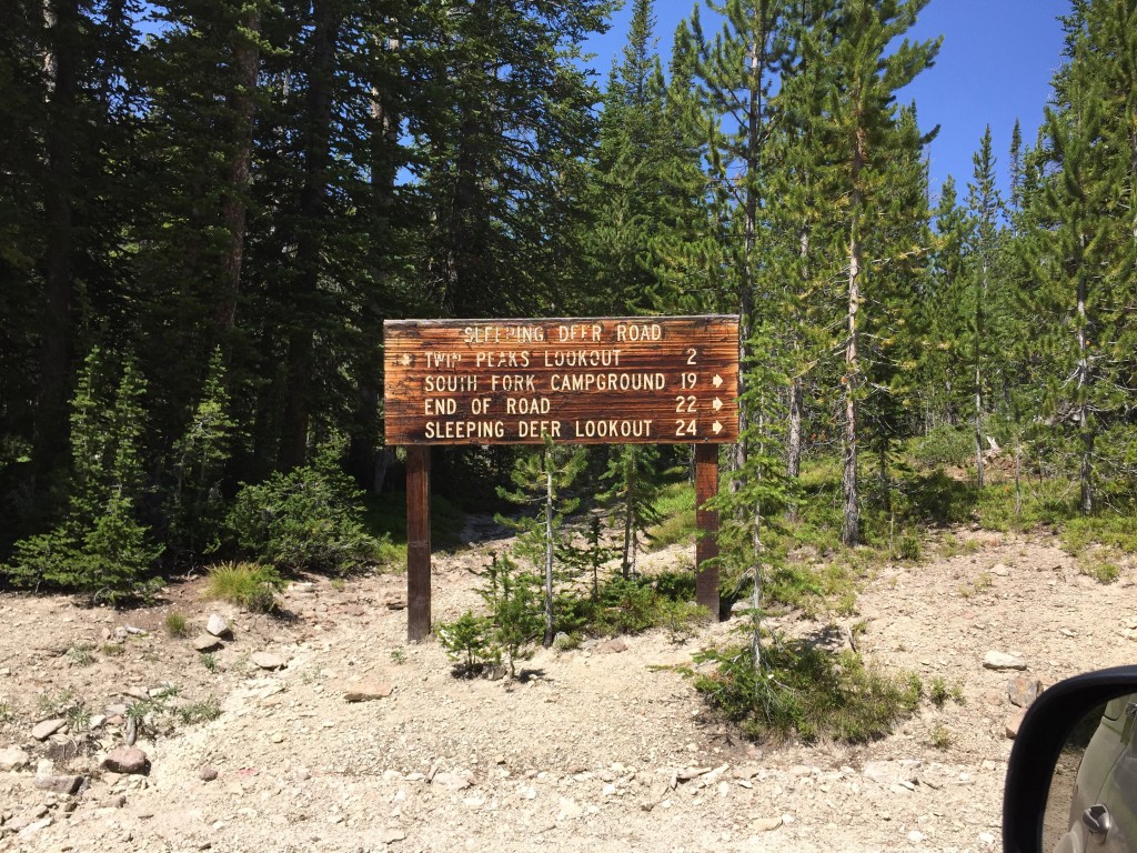 The sign at the junction where the road to South Twin Peak forks off the Sleeping Deer Mountain Road.