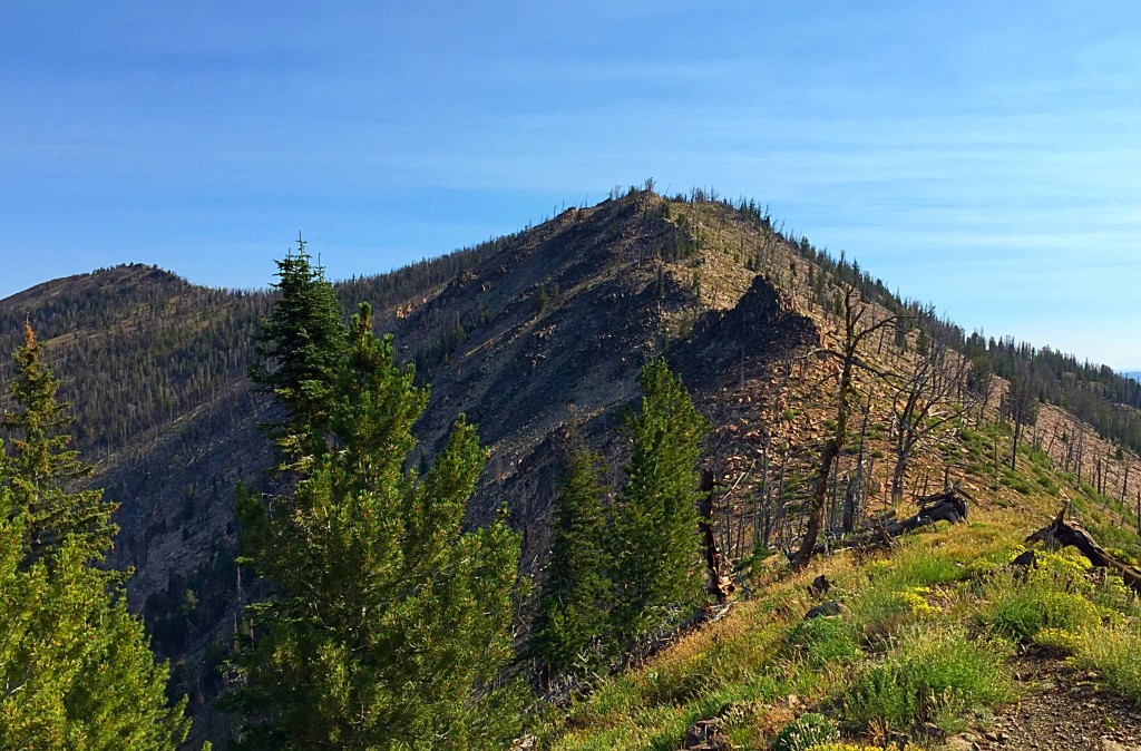 Martin Mountain from the south.