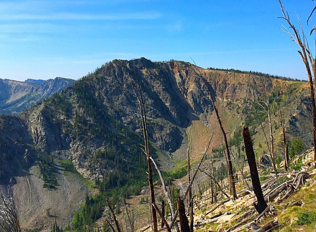 Peak 9553 viewed from Martin Mountain. The Martin Mountain Trail crosses the forested slopes on the right hand side of this photo. It's an easy walk to the summit from the trail.