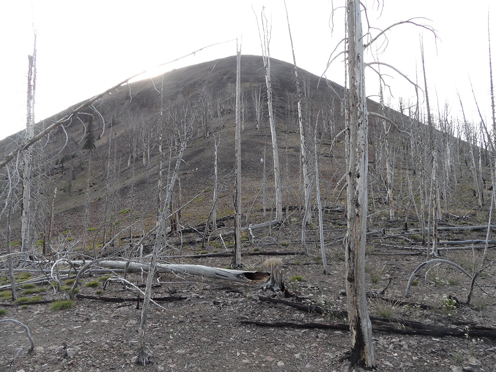 The west ridge/face from the saddle. john Platt Photo